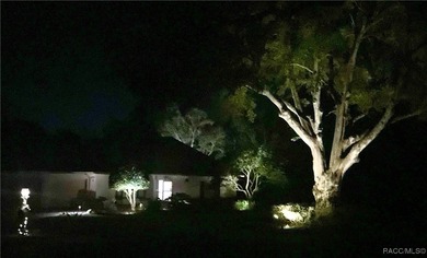 Beautifully Updated Home in Black Diamond Ranch...Welcome to - photo 37