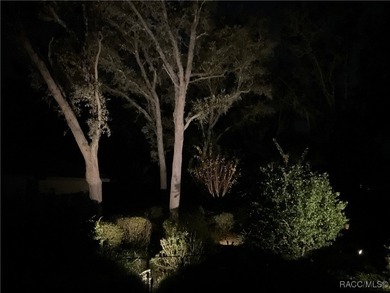 Beautifully Updated Home in Black Diamond Ranch...Welcome to - photo 38