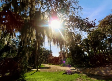 The Perfect Edisto Home for the entire family. Built in 1992 - photo 9