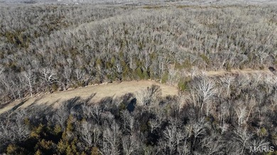 (private lake, pond, coastal) Acreage For Sale in Festus Missouri