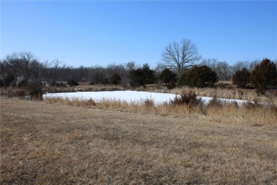 Lake Acreage For Sale in Madison, Missouri
