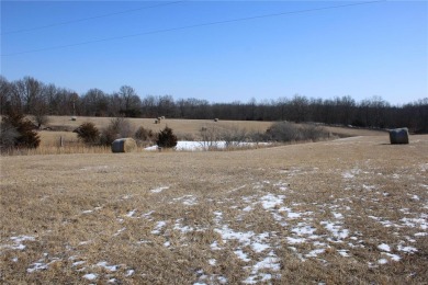(private lake, pond, creek) Acreage Sale Pending in Madison Missouri