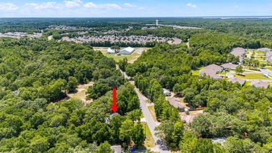 Private, well-kept 4BR/2.5BA home on a spacious lot in Magnolia - photo 4