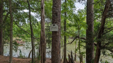 Lake Acreage For Sale in Ridgeway, South Carolina