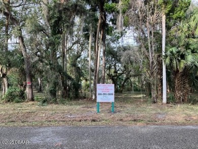 Lake Lot For Sale in Pierson, Florida