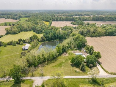 5.03 scenic acres with a pond in a tranquil setting near Madison - photo 10