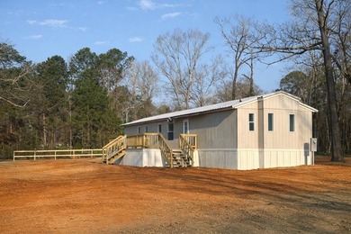 Toledo Bend Lake Home For Sale in Milam Texas