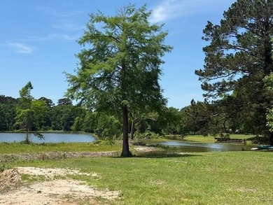 Waterfront Retreat on Toledo Bend Lake - Move-In Ready with - photo 3