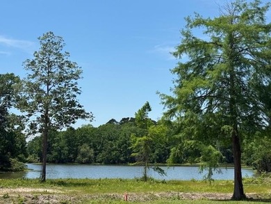 Waterfront Retreat on Toledo Bend Lake - Move-In Ready with - photo 4