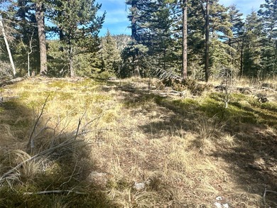 Manueles Creek Ranch encompasses 1,026.1+/- deeded acres in the - photo 19
