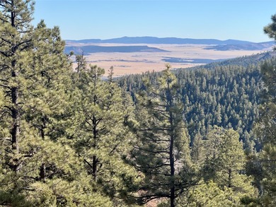 Manueles Creek Ranch encompasses 1,026.1+/- deeded acres in the - photo 20