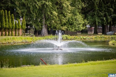 Panoramic golf-course views anchor this light-filled two-story - photo 29