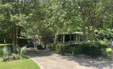 Lake Home For Sale in Other, Texas