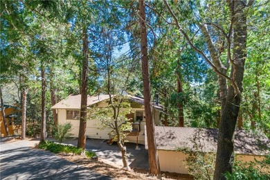 PRICE REDUCTION!!!Charming 4-bedroom, 3-bath mountain home - photo 4