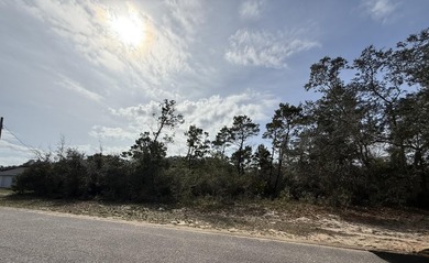 Exceptional opportunity to purchase 4 adjoining lots (offered - photo 2