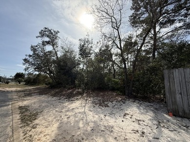 Exceptional opportunity to purchase 4 adjoining lots (offered - photo 4