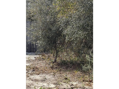 Exceptional opportunity to purchase 4 adjoining lots (offered - photo 5