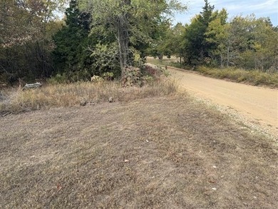 REDUCED $6,000! LOCATED 5 MINUTES FROM LAKE EUFAULA DAM WITH - photo 4