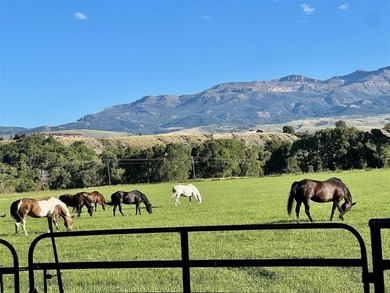 366 Lower Southfork Road: An Unmatched Legacy in Nature's - photo 48