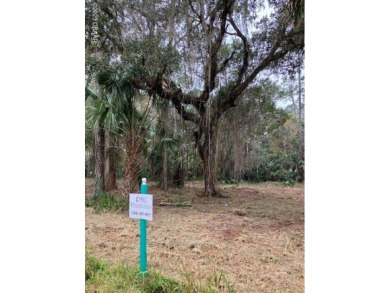 Lake Lot For Sale in Pierson, Florida