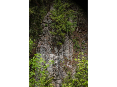 (private lake, pond, creek) Acreage For Sale in Drummond Montana