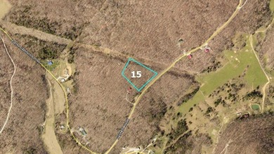 HUGE PRICE REDUCTION!! 3.4 Wooded acres with 410 ft of road - photo 2