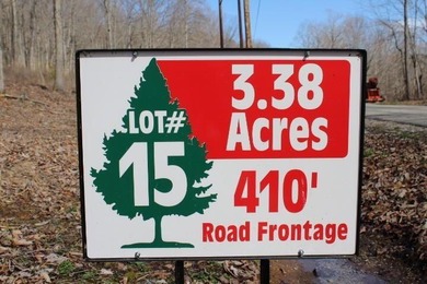 HUGE PRICE REDUCTION!! 3.4 Wooded acres with 410 ft of road - photo 3
