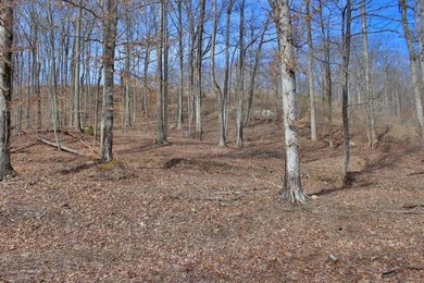 HUGE PRICE REDUCTION!! 3.4 Wooded acres with 410 ft of road - photo 4