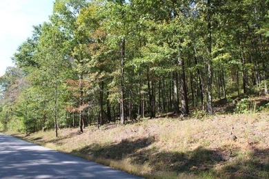 HUGE PRICE REDUCTION!! 3.4 Wooded acres with 410 ft of road - photo 5