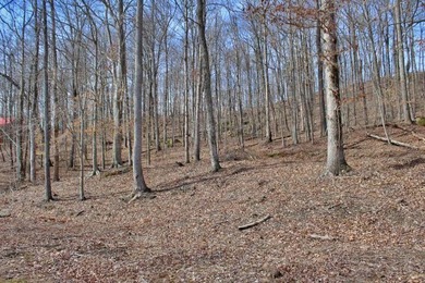HUGE PRICE REDUCTION!! 3.4 Wooded acres with 410 ft of road - photo 6
