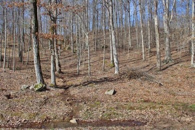 HUGE PRICE REDUCTION!! 3.4 Wooded acres with 410 ft of road - photo 7