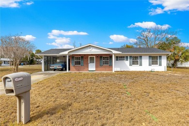 Lake Home For Sale in Tavares, Florida