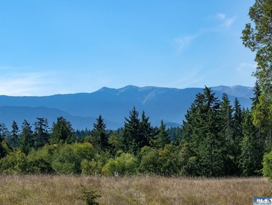Set in the peaceful Agnew community between Sequim and Port - photo 11
