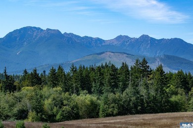 Set in the peaceful Agnew community between Sequim and Port - photo 12