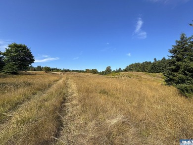 Set in the peaceful Agnew community between Sequim and Port - photo 13