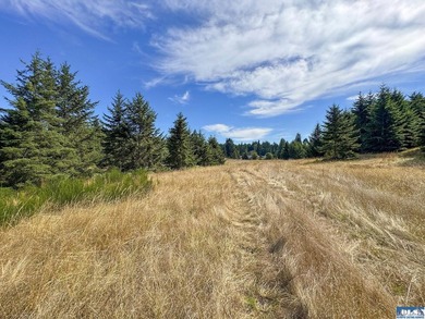 Set in the peaceful Agnew community between Sequim and Port - photo 14