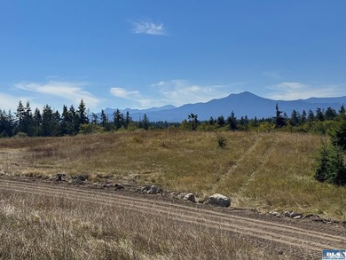 Set in the peaceful Agnew community between Sequim and Port - photo 16