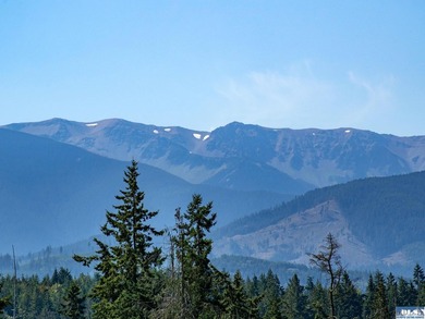 Set in the peaceful Agnew community between Sequim and Port - photo 18