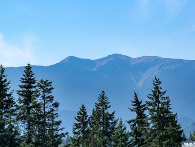 Set in the peaceful Agnew community between Sequim and Port - photo 19
