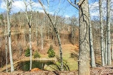 HUGE PRICE IMPROVEMENT!! CHECK OUT THIS BEAUTIFUL, OVER 4.5 ACRE - photo 20