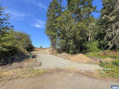 Set in the peaceful Agnew community between Sequim and Port - photo 20