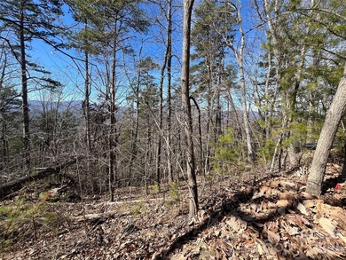 HUGE PRICE IMPROVEMENT!! CHECK OUT THIS BEAUTIFUL, OVER 4.5 ACRE - photo 22