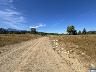 Set in the peaceful Agnew community between Sequim and Port - photo 22