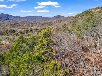 HUGE PRICE IMPROVEMENT!! CHECK OUT THIS BEAUTIFUL, OVER 4.5 ACRE - photo 23