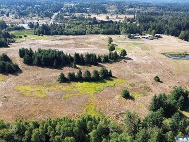 Set in the peaceful Agnew community between Sequim and Port - photo 24