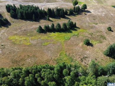 Set in the peaceful Agnew community between Sequim and Port - photo 25