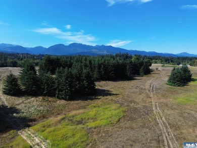 Set in the peaceful Agnew community between Sequim and Port - photo 26