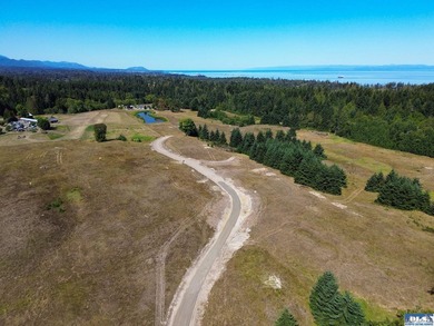 Set in the peaceful Agnew community between Sequim and Port - photo 27