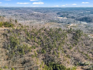 HUGE PRICE IMPROVEMENT!! CHECK OUT THIS BEAUTIFUL, OVER 4.5 ACRE - photo 28