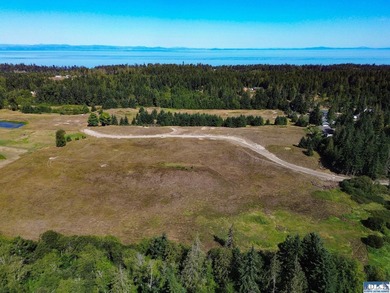 Set in the peaceful Agnew community between Sequim and Port - photo 28